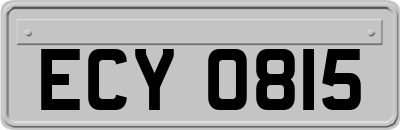 ECY0815