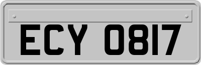ECY0817