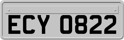 ECY0822
