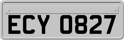 ECY0827
