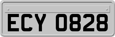 ECY0828