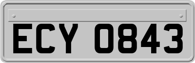 ECY0843
