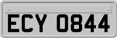 ECY0844