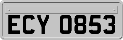 ECY0853