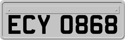 ECY0868