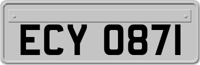 ECY0871