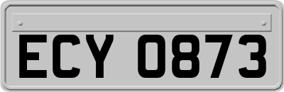 ECY0873