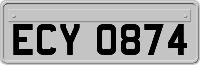 ECY0874