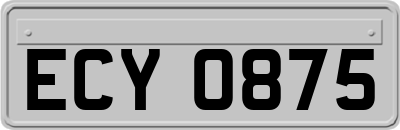 ECY0875
