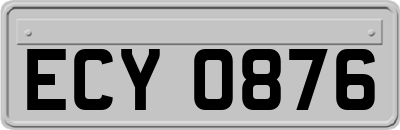 ECY0876