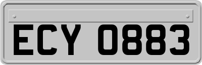 ECY0883