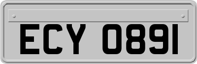 ECY0891