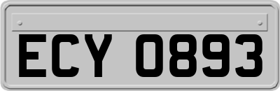 ECY0893