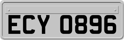 ECY0896