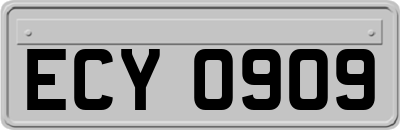 ECY0909