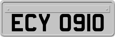 ECY0910