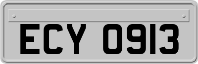 ECY0913