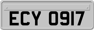ECY0917