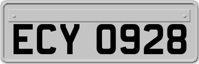 ECY0928