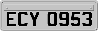 ECY0953