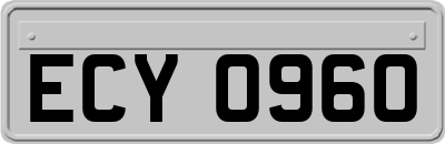 ECY0960