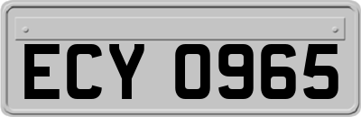 ECY0965
