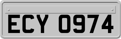 ECY0974