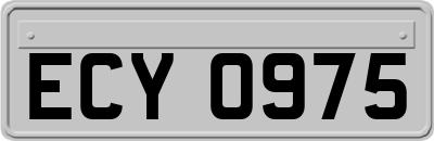 ECY0975