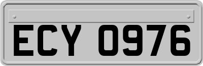 ECY0976