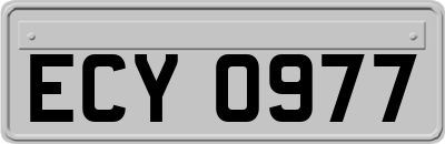 ECY0977
