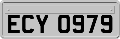 ECY0979