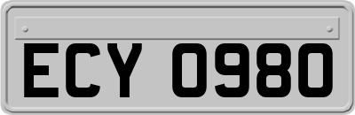 ECY0980