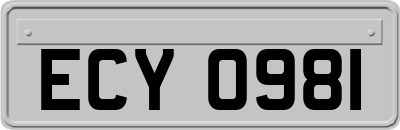 ECY0981