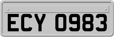 ECY0983