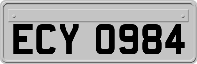 ECY0984
