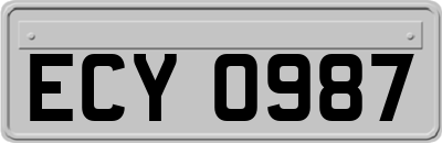 ECY0987