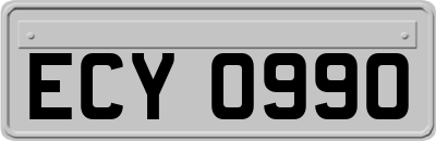 ECY0990