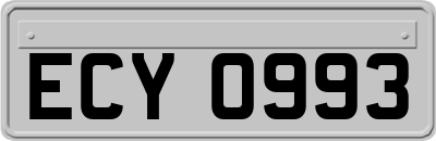 ECY0993