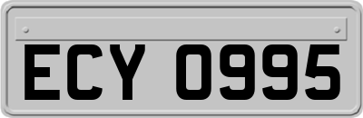 ECY0995