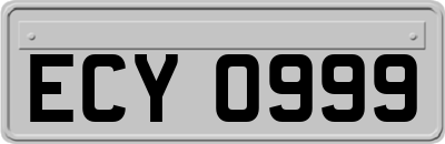 ECY0999