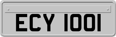 ECY1001