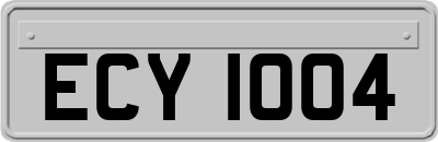 ECY1004