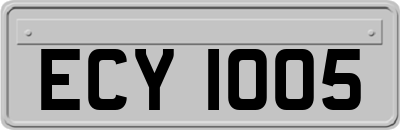 ECY1005