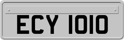 ECY1010