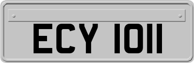 ECY1011