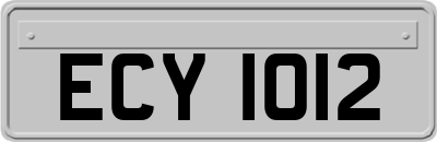 ECY1012