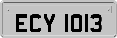 ECY1013