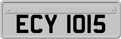 ECY1015