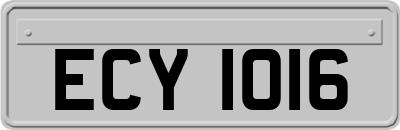 ECY1016