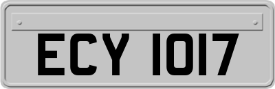 ECY1017